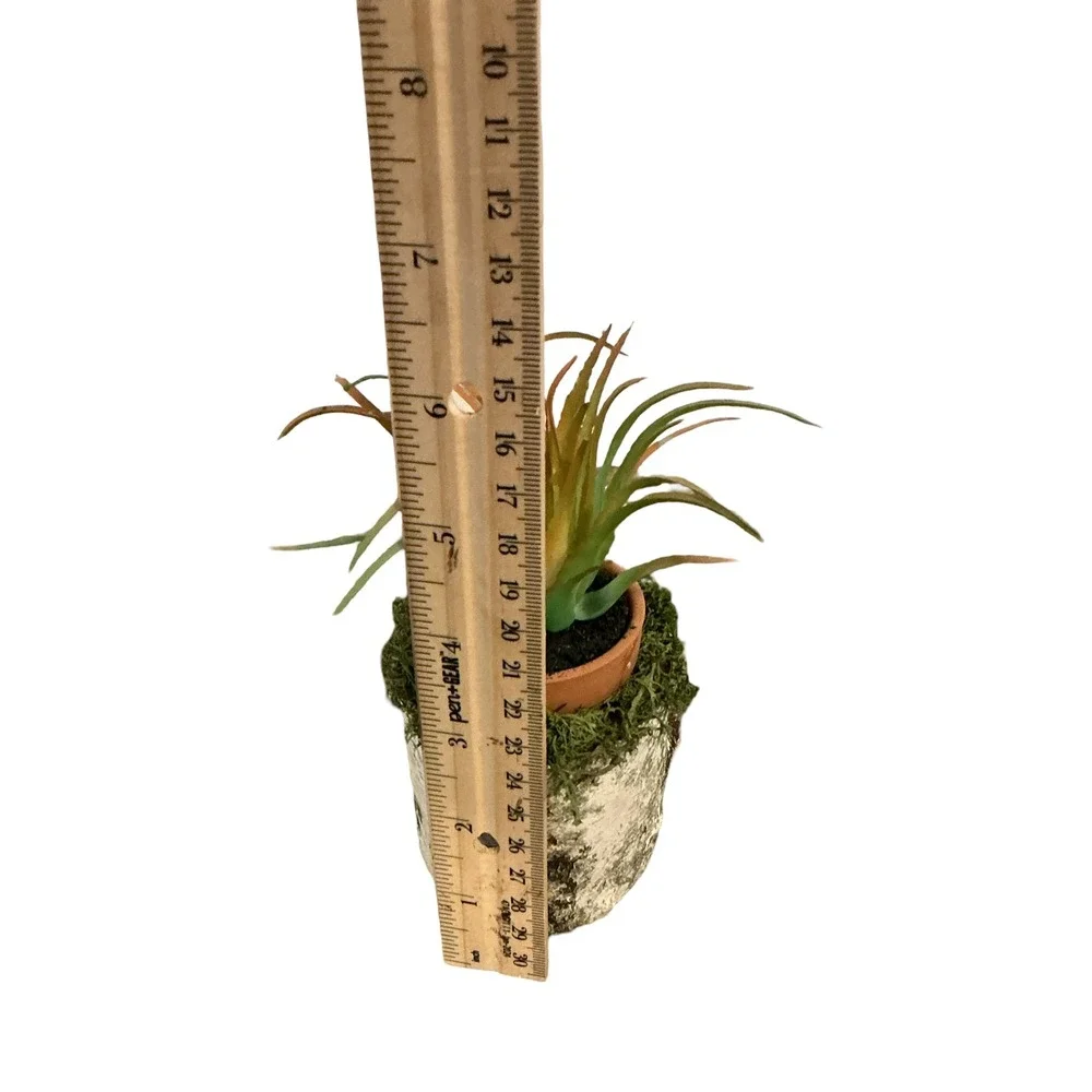 Handmade Artificial Succulent in Birch‎ Log with Moss Rustic Woodland Home Decor